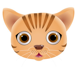 Cute cat face