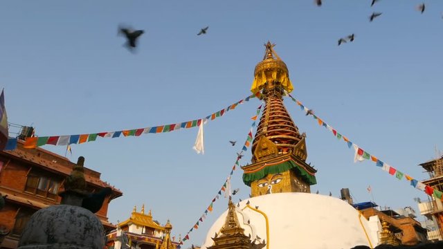 Colorful prayer flags wawing in the wind over Stupa temple, Holy Pagoda, symbol of Nepal and Kathmandu with Buddha's Eyes. Sunset ligth. tibetan buddhism. Pigeons flying over ancient architecture.
