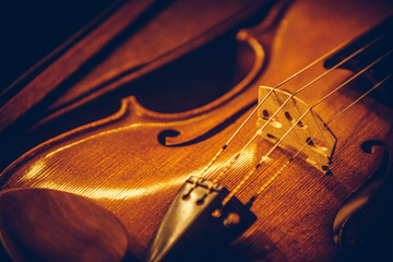Vintage violin detail