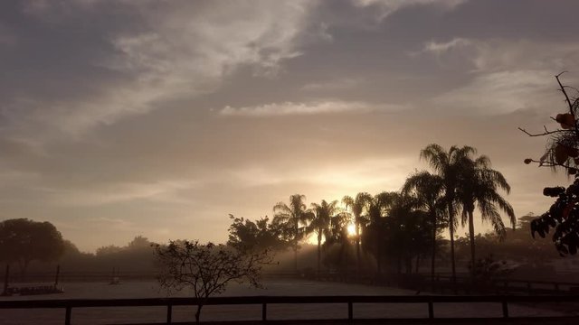 sunrise on the ring next door