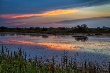 Amazing colourful sunset in Camargue, Provence, Southern France. Calm and tranquility. Travel France.