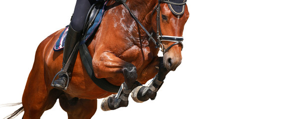 Fototapeta premium Horse over the jump, close-up of the angled front legs..