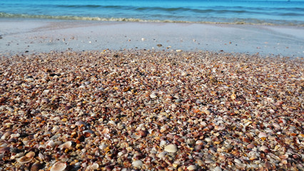 Sea shell beach with ocean wave at tropical island.