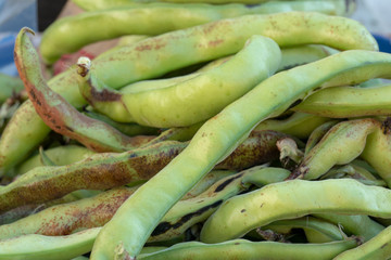 fresh flat beans on market