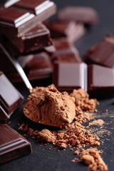 Broken chocolate pieces and cocoa powder.