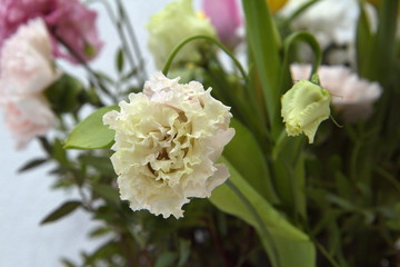 flowers in a vase