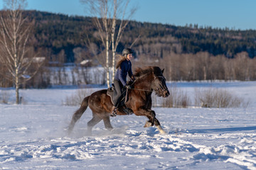 Fototapeta na wymiar Young Swedish woman enjoying a ride on her Icelandic horse in deep snow