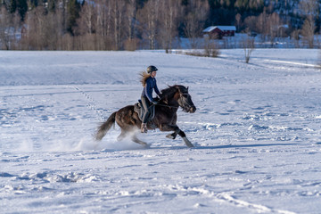 Fototapeta na wymiar Young Swedish woman enjoying a ride on her Icelandic horse in winter