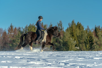 Fototapeta na wymiar Young Swedish woman riding her Icelandic horse in deep snow and sunlight
