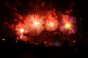 Colorful fireworks on the black sky background