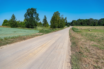 Dusty gravel road in summer afternoon.