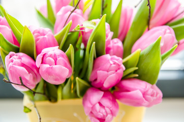Fototapeta premium Beautiful pink tulips