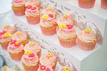 sweet cakes laid out on a plate