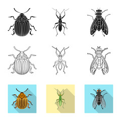Vector illustration of insect and fly icon. Collection of insect and element vector icon for stock.