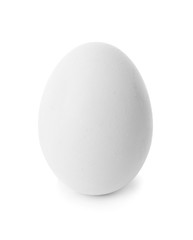 One chicken egg on white background, closeup