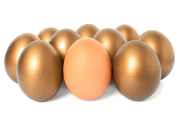 Golden eggs with different one on white background