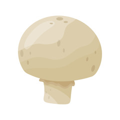 Flat vector icon of raw champignon. Small edible mushroom. Cooking ingredient. Organic food. Natural product