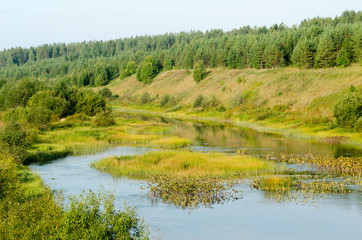 Fototapeta na wymiar Led River, Shenkursky District, Arkhangelsk Region, Russia. August 2018