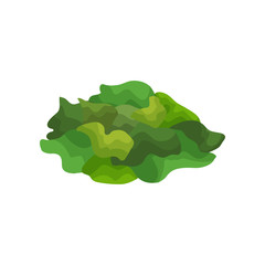 Pile of raw spirulina seaweeds. Green algae. Vegetarian food. Natural supplement. Alternative medicine. Flat vector