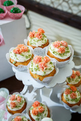 sweet cakes laid out on a plate