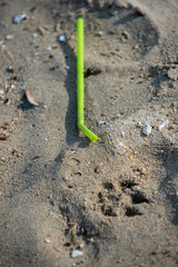 Green straw found left on the beach. A starting point of the environment problem.