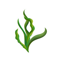 Flat vector design of bright green spirulina seaweed. Ocean algae. Vegetarian food. Aquatic plant