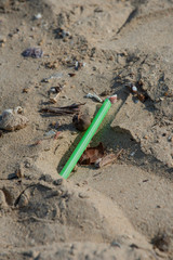 Green straw found left on the beach. A starting point of the environment problem.
