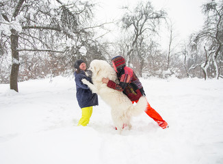 Fototapeta na wymiar women are training a white dog in winter forest
