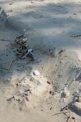 White plastic spoon found left on the beach. A starting point of the environment problem.