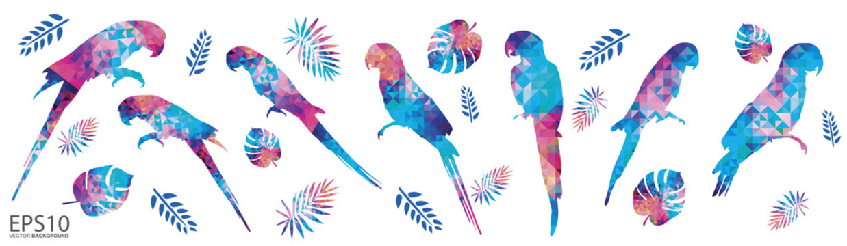 Colorful Macaw bird and tropical leaf pattern background.