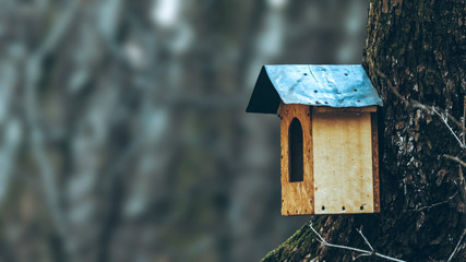 house for birds in the tree