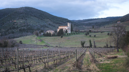 Sant'Antimo Abbey in Tuscany with the nearby vineyards