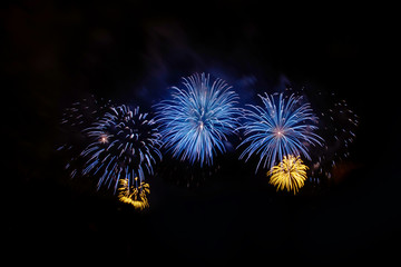 Colorful fireworks on the black sky background