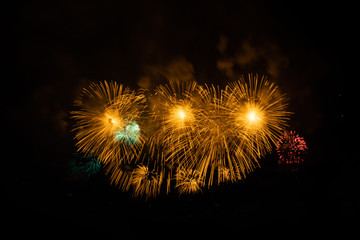 Colorful fireworks on the black sky background
