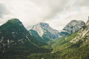 Fototapeta premium Amazing glacier made valley in the Italian Dolomites with trees in the summer ready for a hike or active holiday 
