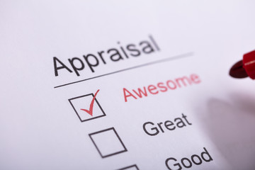 Businessperson Filling Appraisal Form