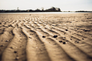 Deserts on the shore