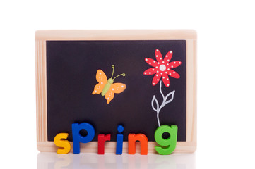 Spring- butterfly and flower on chalkboard - white background