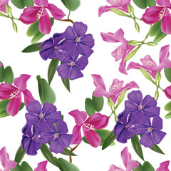 Floral seamless pattern with bauhinia and glory bush - vector