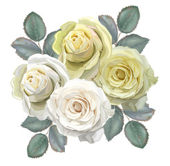Floral bouquet with white and yellow roses vector illustration