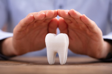 Person's Hand Protecting White Tooth