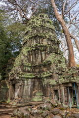 Ruins of Ta Prohm temple, Cambodia