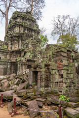 Ruins of Ta Prohm temple, Cambodia