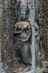 Fototapeta na wymiar Relief of apsara in Ta Prohm temple, Cambodia