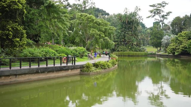 people jogging early in the morning at singapore botanic gardens