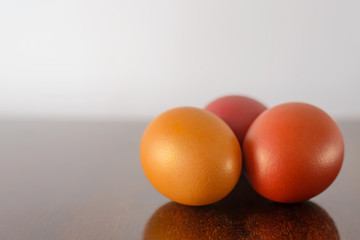 Painted in colorful paint Easter eggs