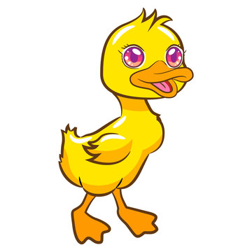 Duck graphic clipart
