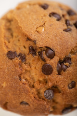 Chocolate chip cookie