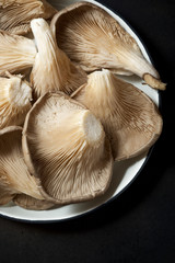 Mushrooms close up