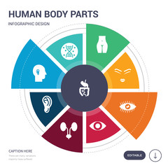 set of 9 simple human body parts vector icons. contains such as digestive system, dna, ear, ear lobe side view, excretory system, eye variant with enlarged pupil, eye with lashes icons and others.
